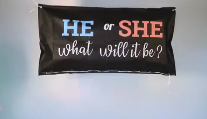 Gender Reveal Balloon Bags - Boy or Girl - Baby Shower Party Supplies